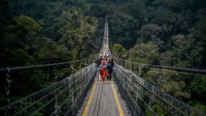 Kawah Putih Ciwidey Hadirkan Wahana Jembatan Kaca Gantung