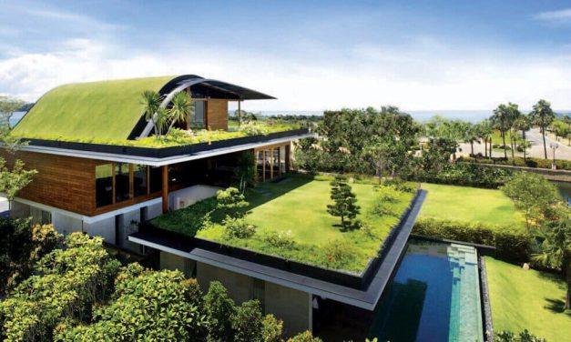 Konsep Green Roof Jadi Standar Apartemen Ramah Lingkungan