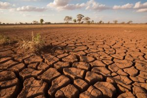 El Niño Lemah Buat Jawa Dan NTT Berpotensi Kemarau Kering