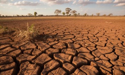 El Niño Lemah Buat Jawa Dan NTT Berpotensi Kemarau Kering