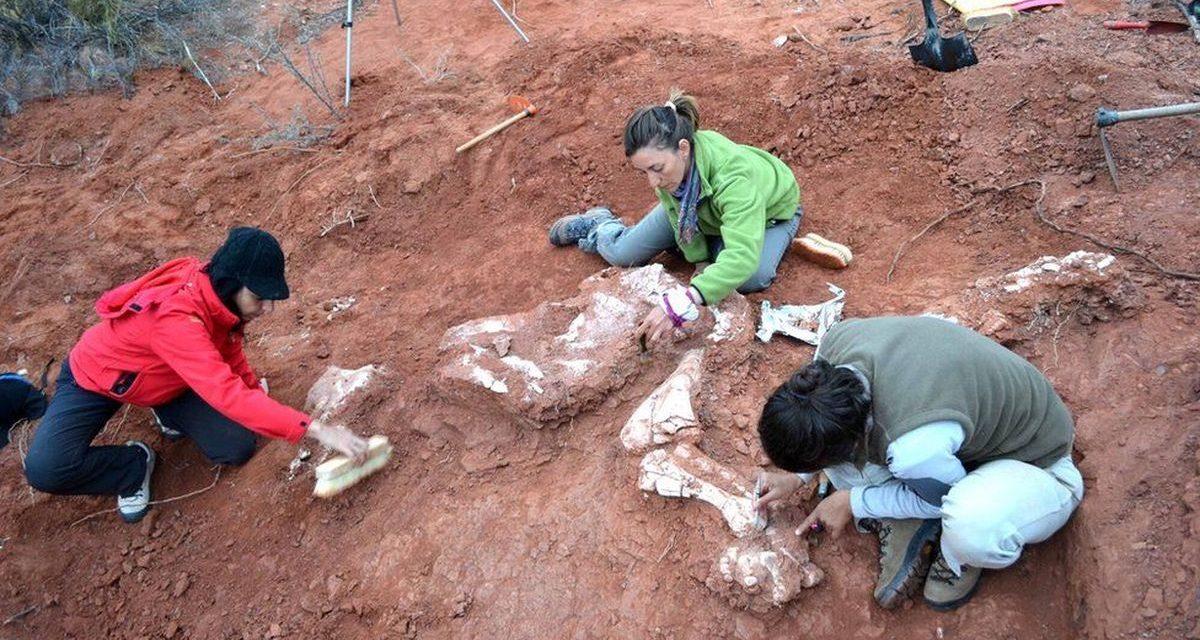 Dinosaurus Karnivora Spesies Baru Ditemukan Di Argentina