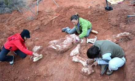 Dinosaurus Karnivora Spesies Baru Ditemukan Di Argentina