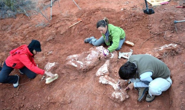 Dinosaurus Karnivora Spesies Baru Ditemukan Di Argentina